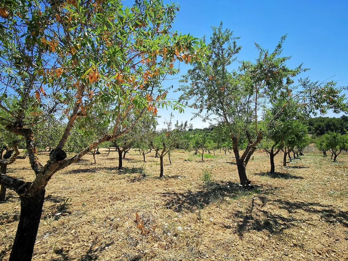 Villa Son Bauzanet  Palma di Maiorca