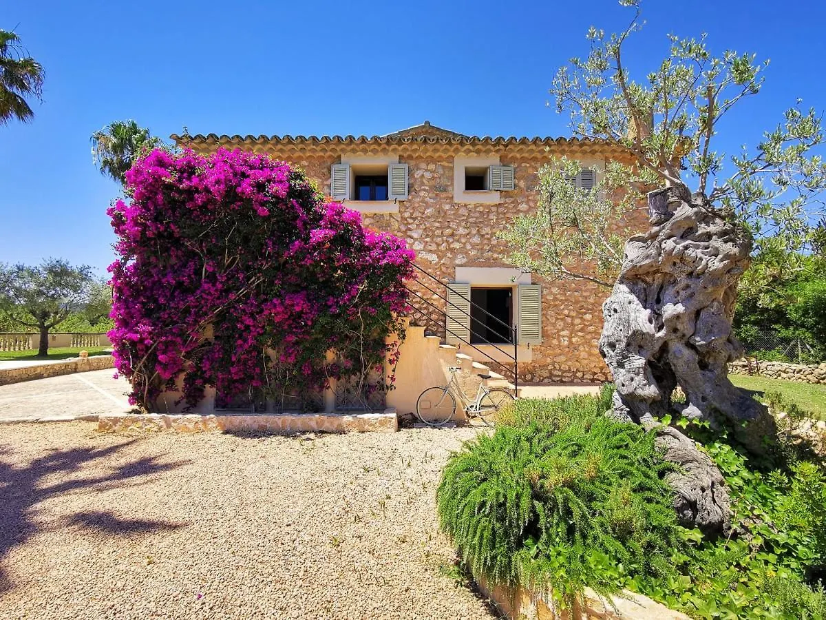Villa Son Bauzanet 0*, Palma de Mallorca